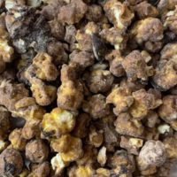 Death by Chocolate | Flavored Popcorn
